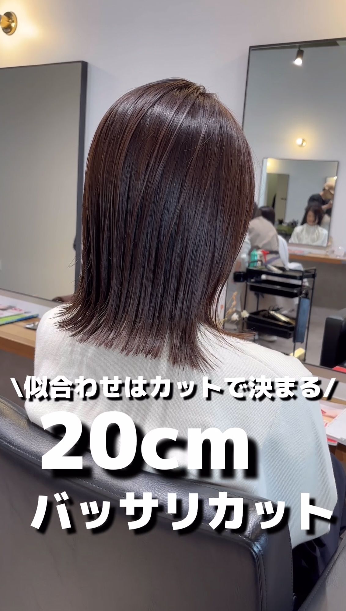 20cmバッサリカット